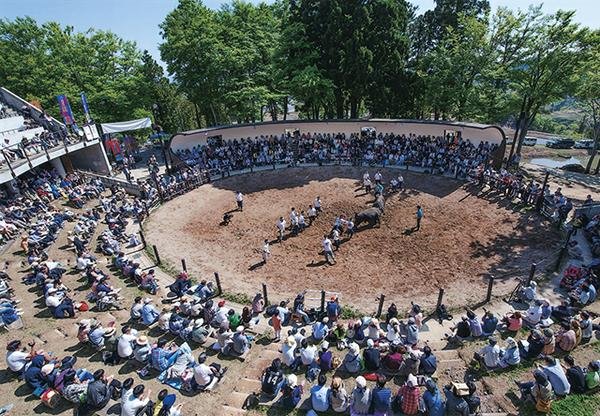 🐂 산고시 투우장 (야마코시 토규조) 이미지 1